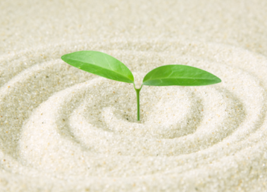 『お客様のために』はウソ、『お客様の立場に立って』が正しい。売れるECサイトに必須の普遍的小売業コンセプトとは？